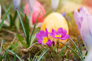 Easter Egg in Garden
